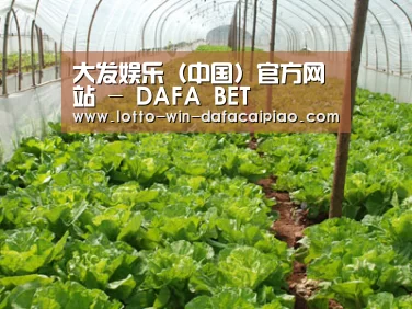 种植基地五
