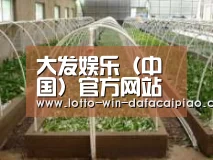 环境展示五