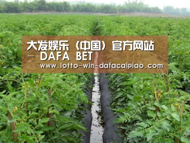 种植基地三