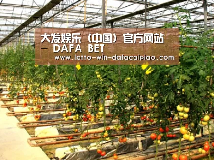 种植基地二(图1)